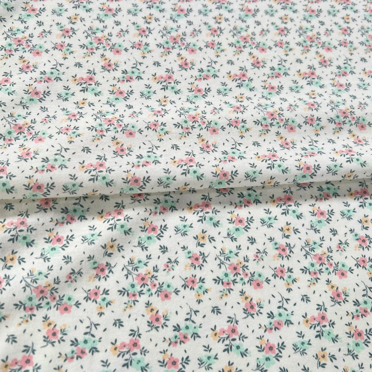 Jersey 30/1 Bloom Fondo Natural