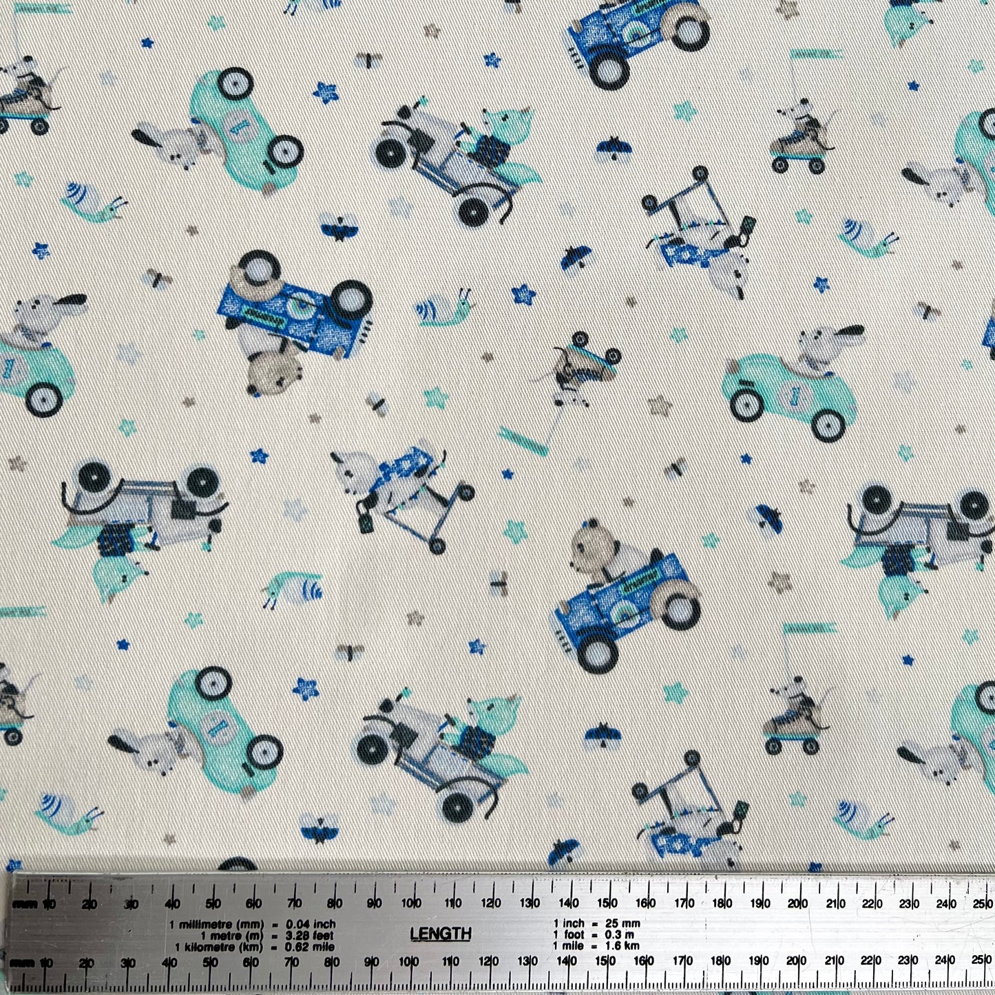 Gabardina Ositos Carrera Azul