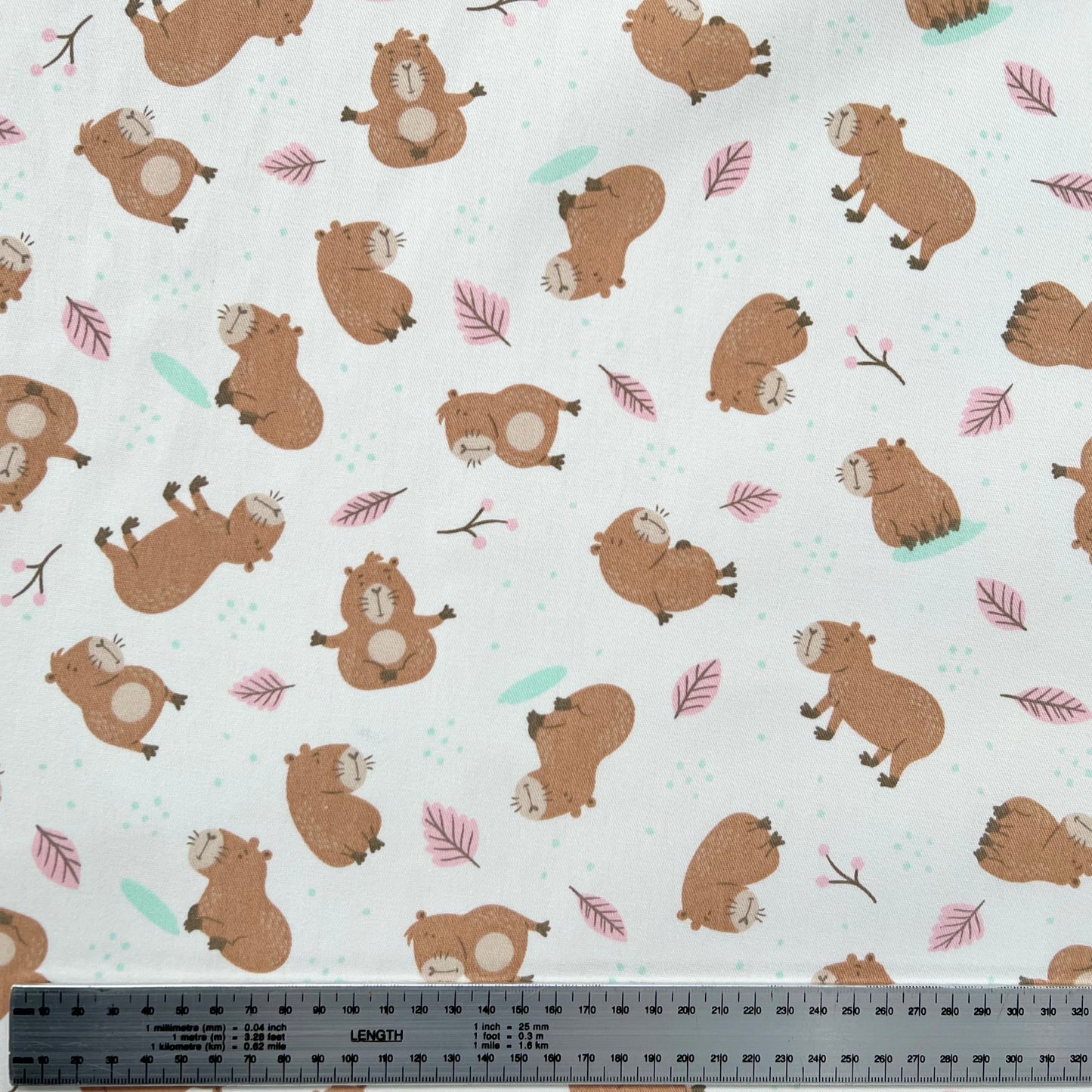 Gabardina Capibaras Rosa