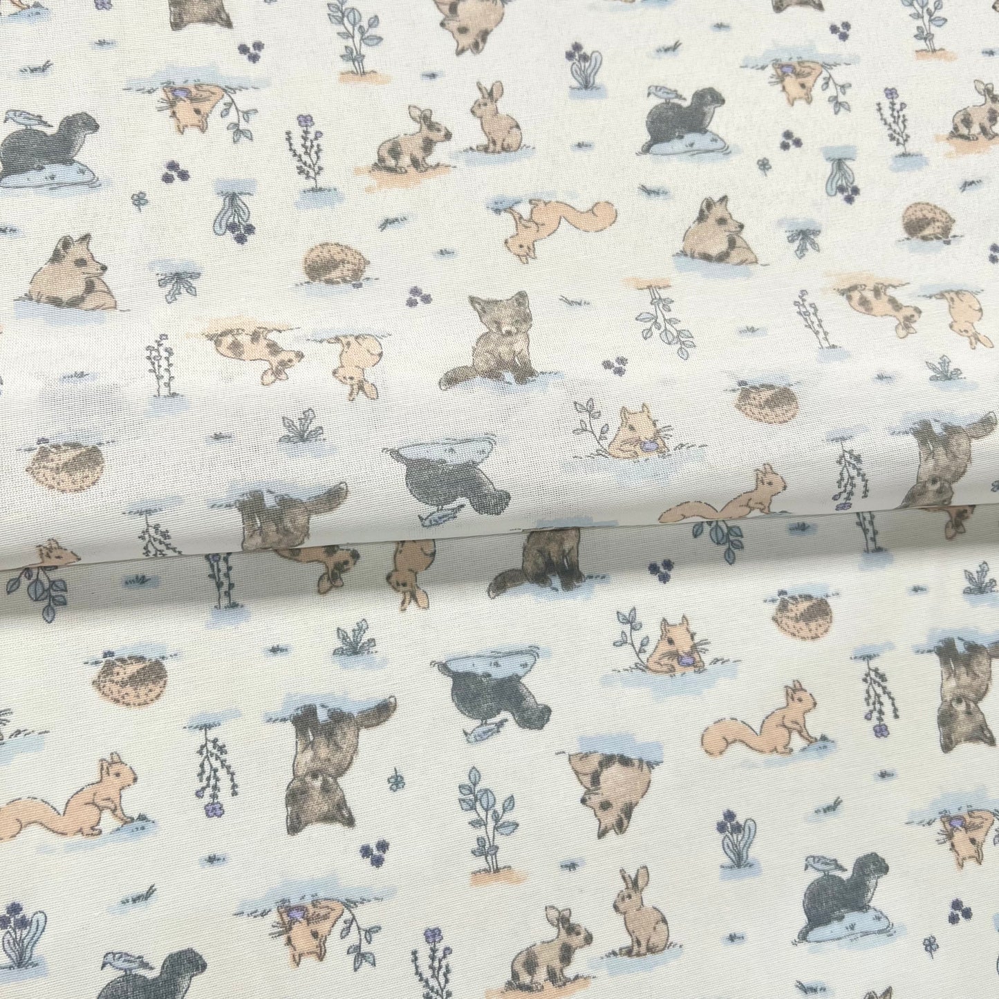 Multiusos Bosque Celeste
