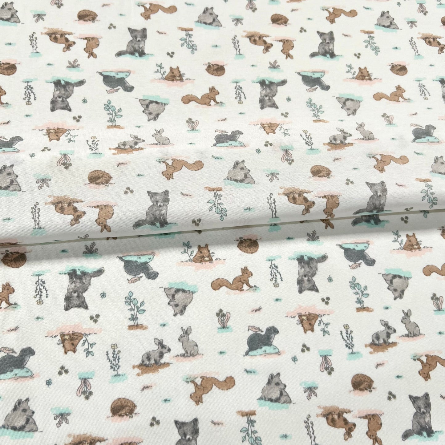 Multiusos Bosque Aqua