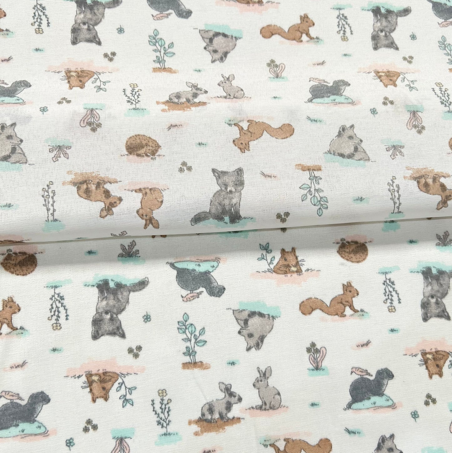 Multiusos Bosque Aqua