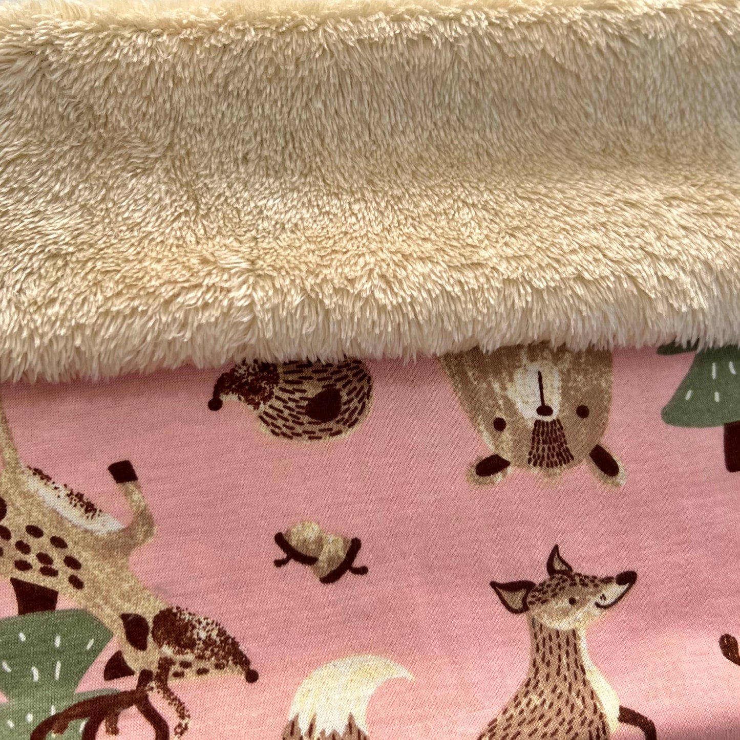 Abercrombie Oso Fondo Rosa