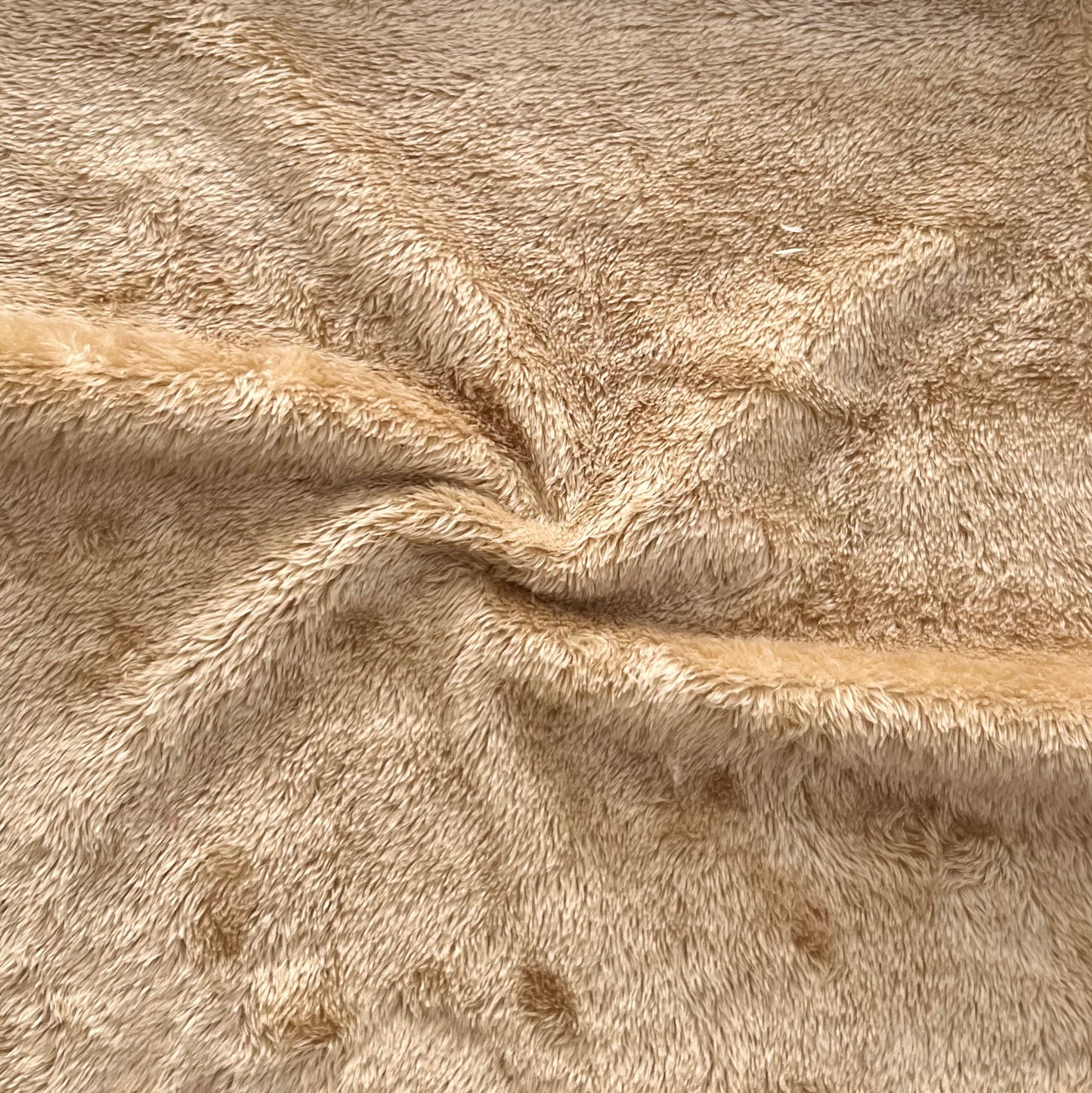 Abercrombie Oso Fondo Beige
