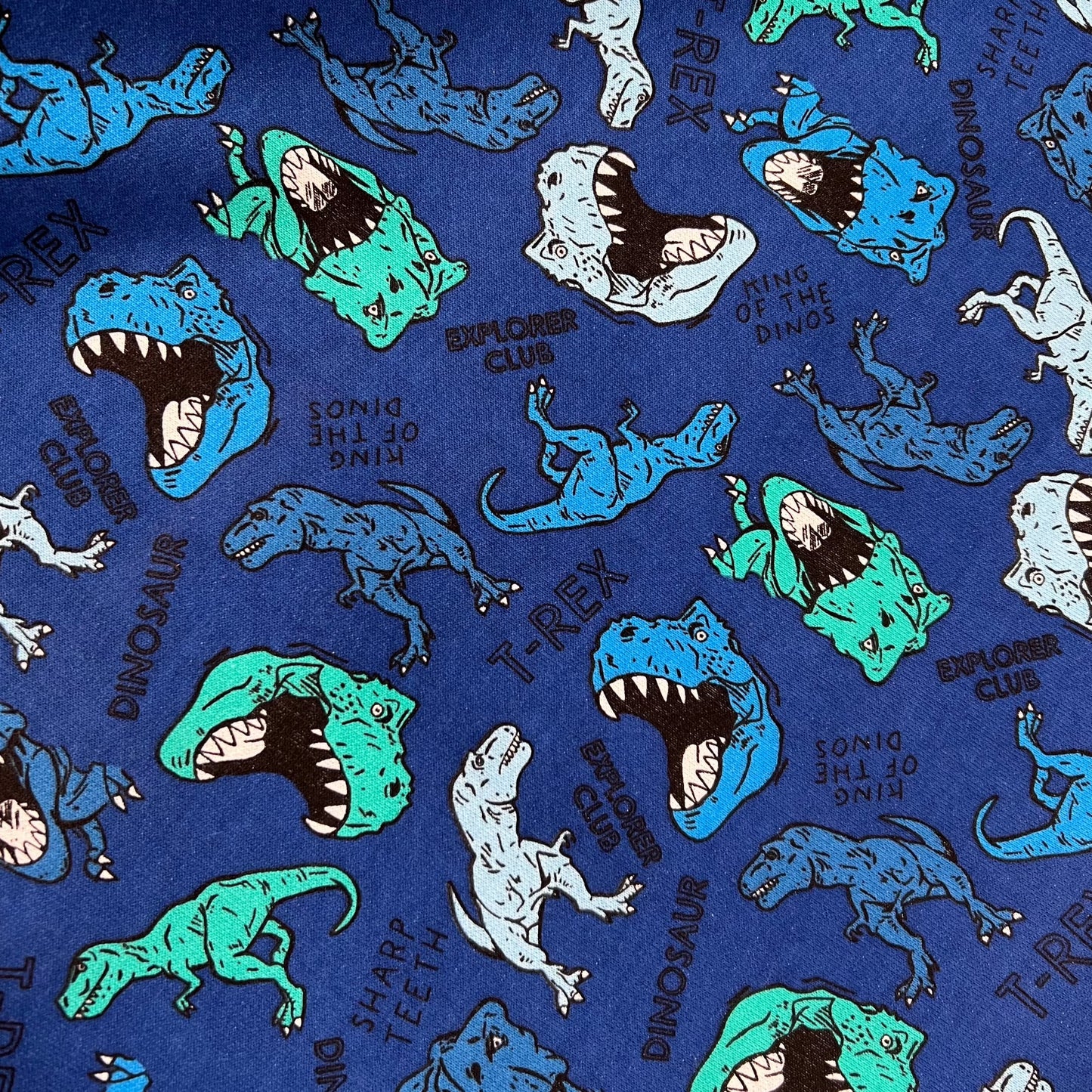 Frisa T-Rex Azul