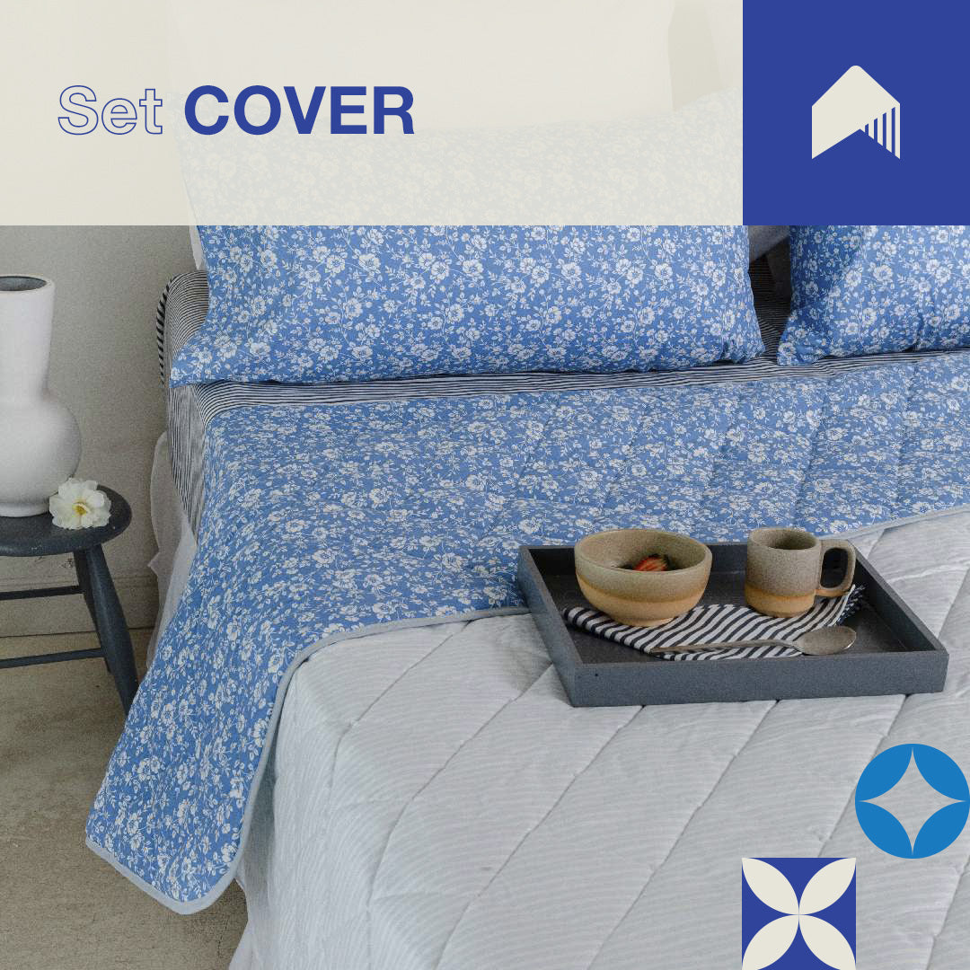 Set Cover 2 y 1/2 pl.