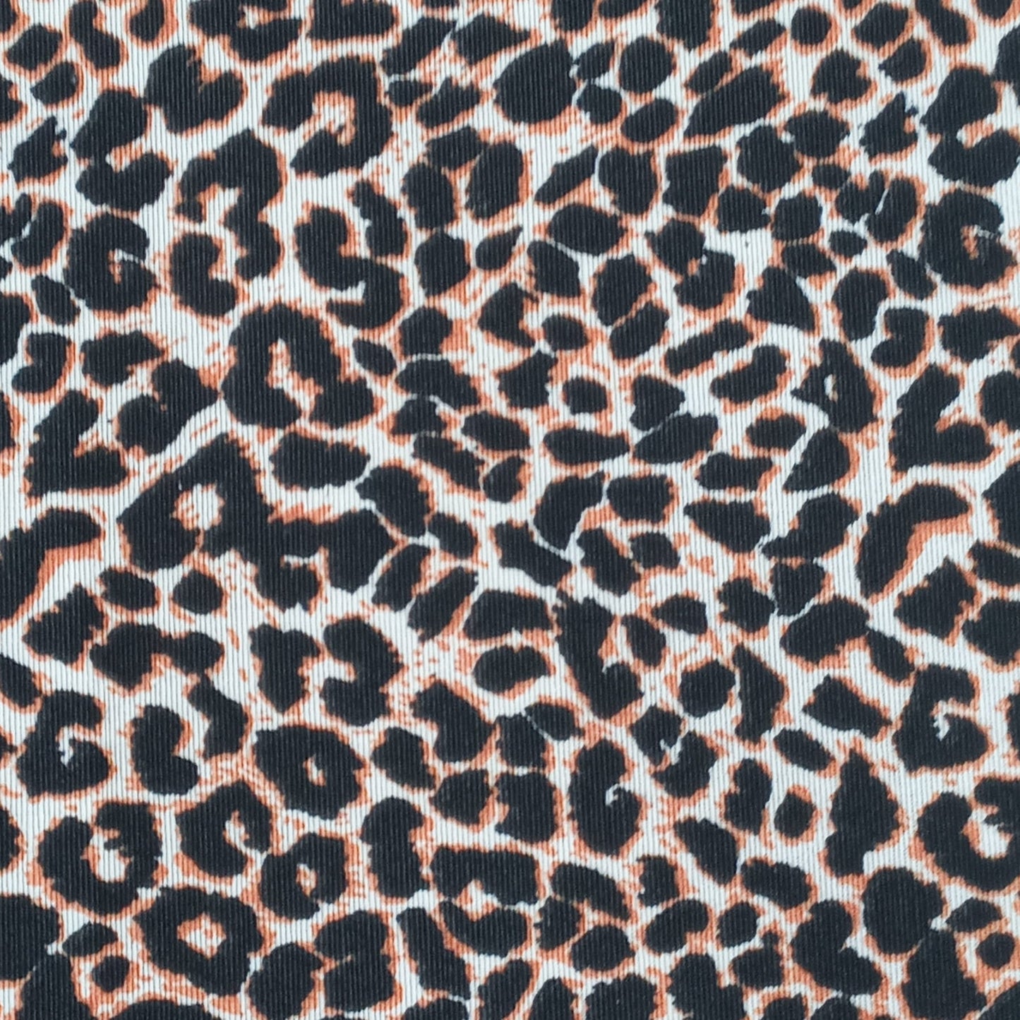 Lona Animal Print