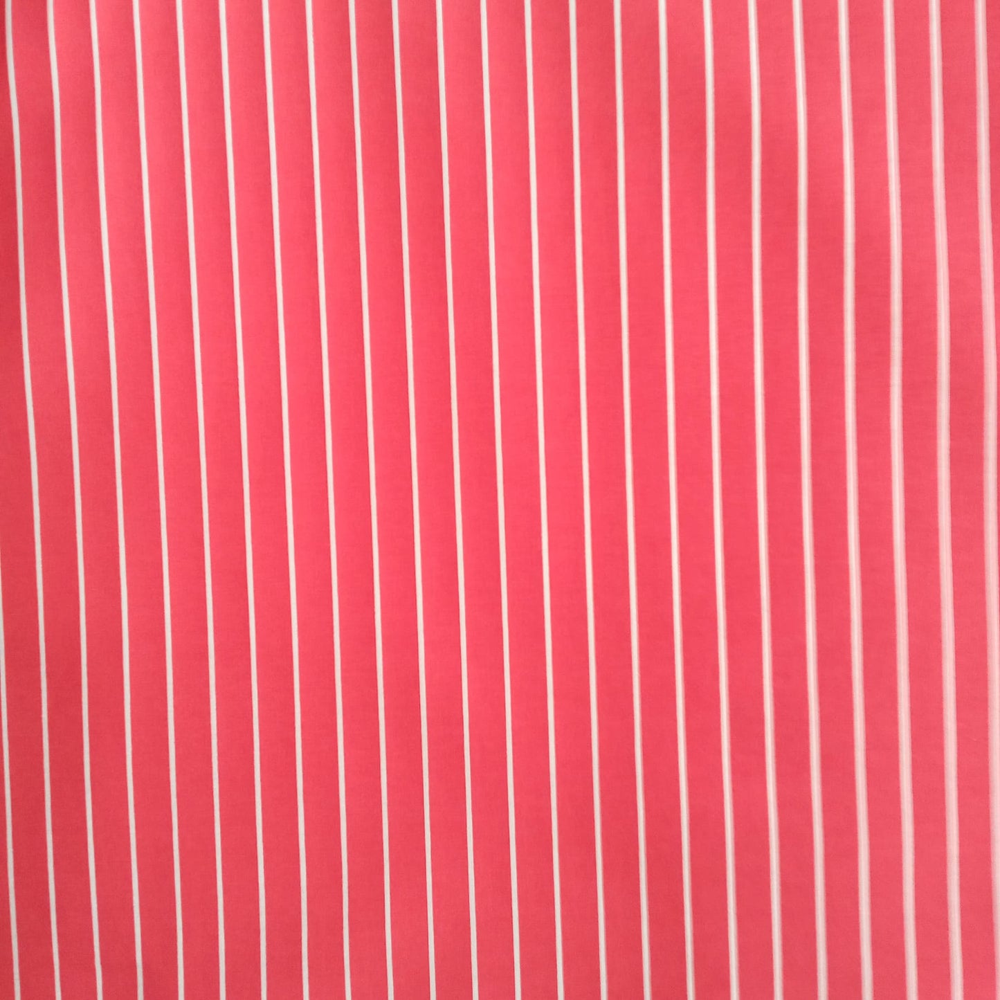 Percal Raya Roja 144h