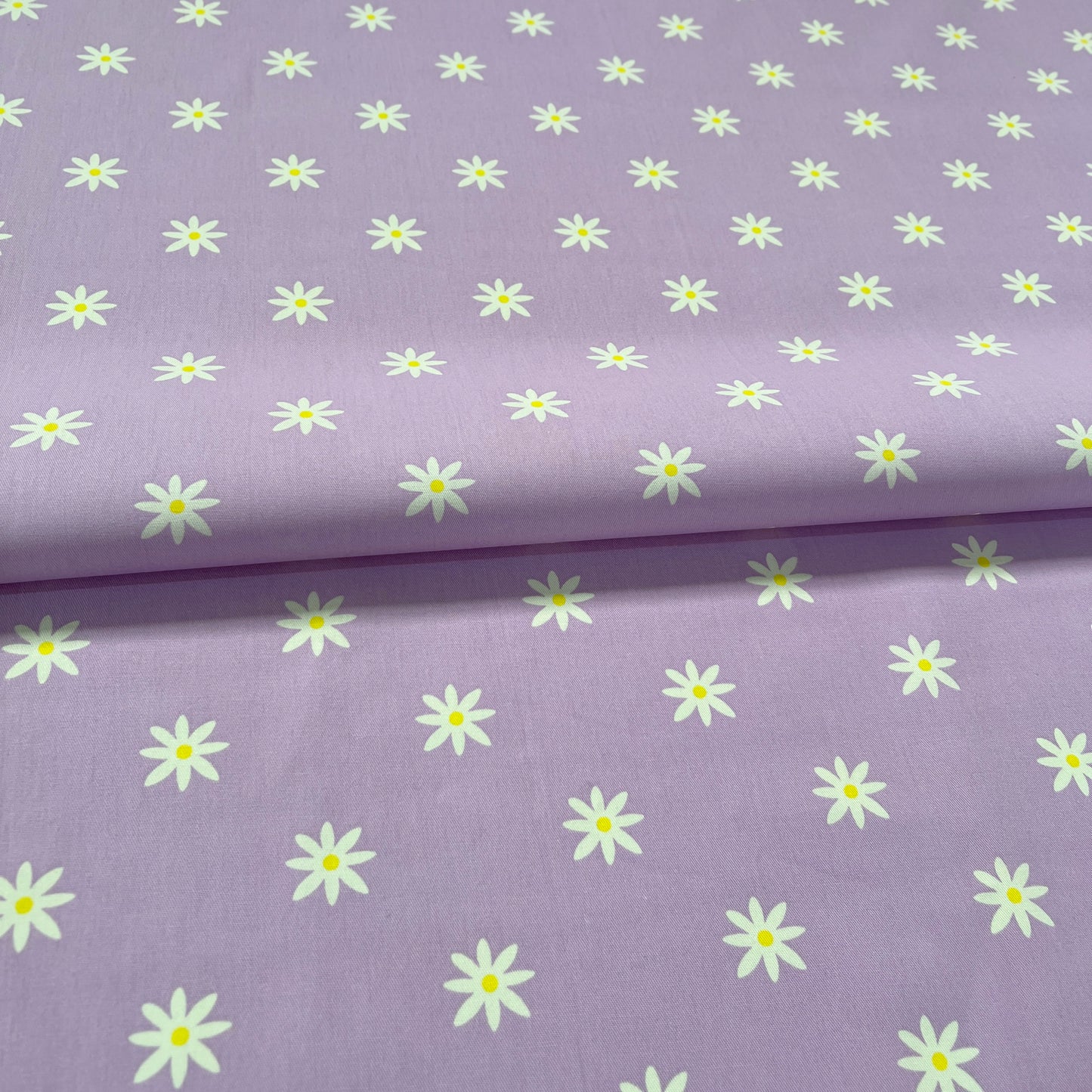 Gabardina Margaritas Lila