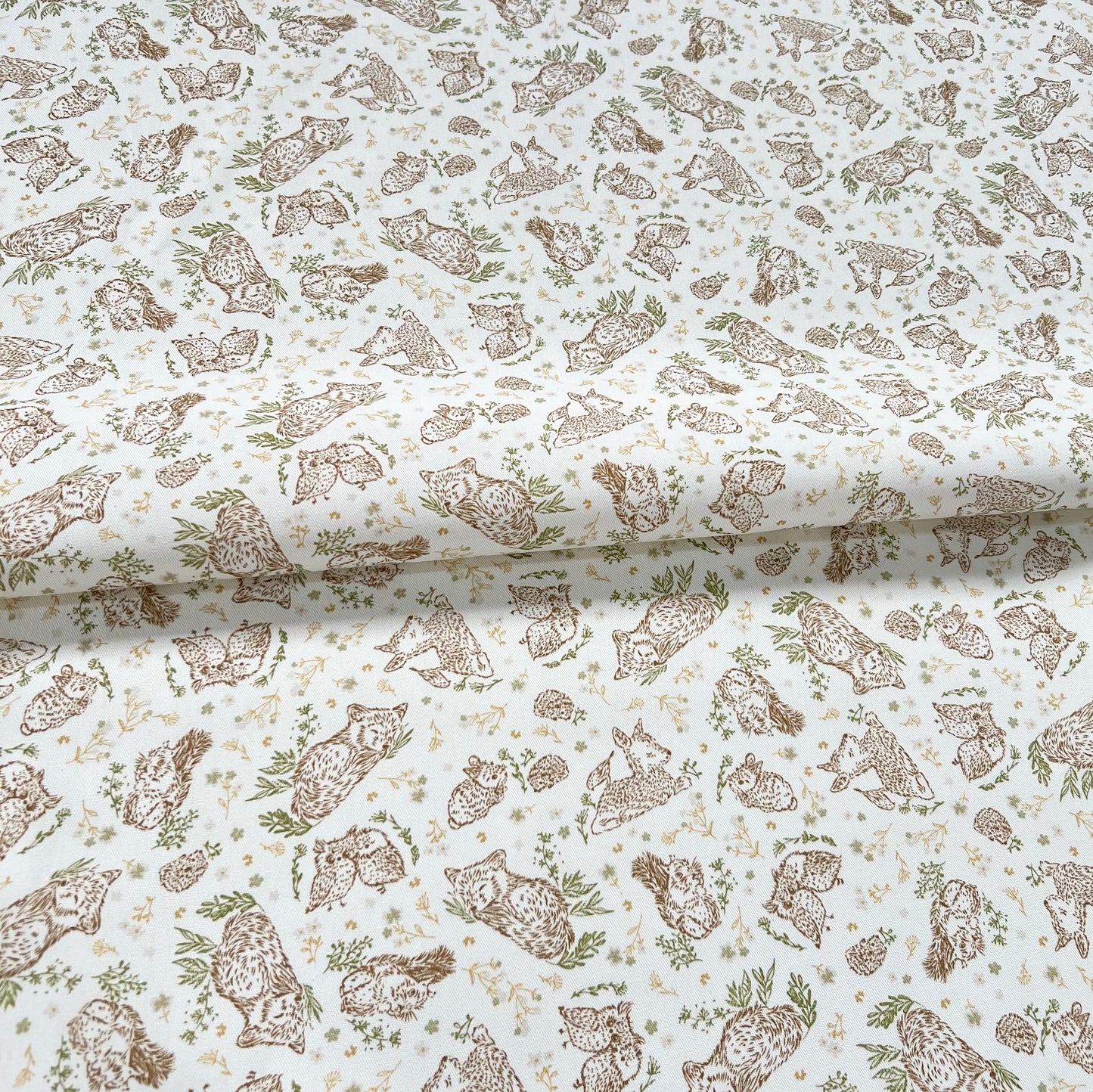 Gabardina Amigos del Bosque Fondo Blanco