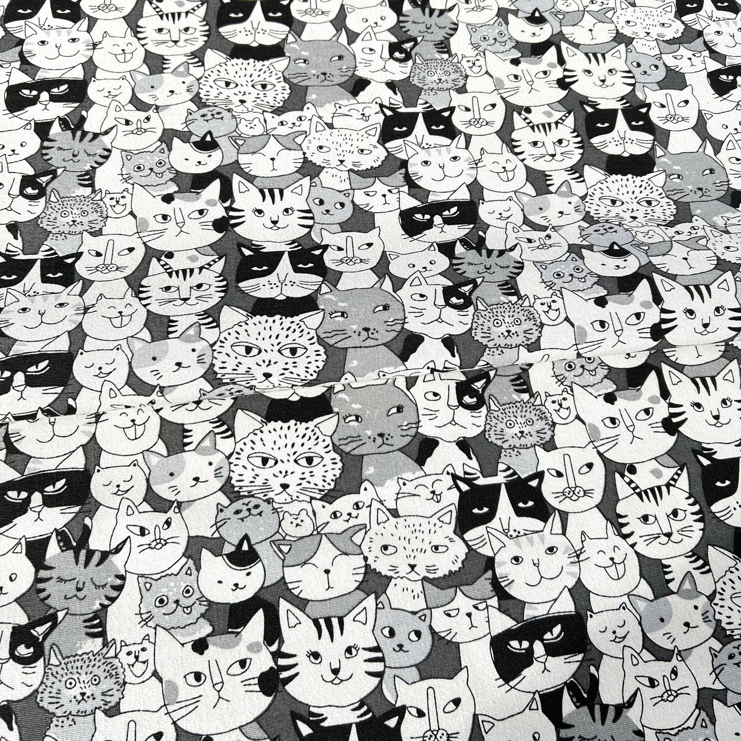 Lona Gatos Fondo Gris