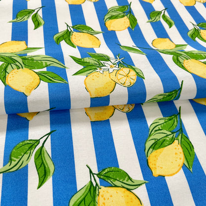 Lona para Picnic y Playa