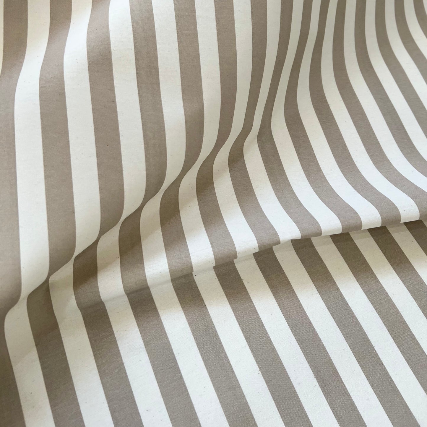 Lona Raya Deco Arena