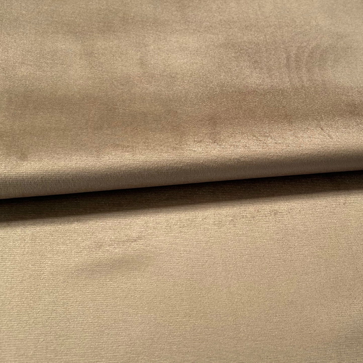 Pana Avellana 1.42mts