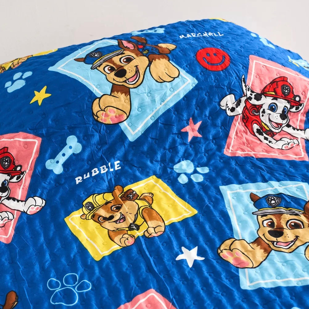 Cover Paw Patrol