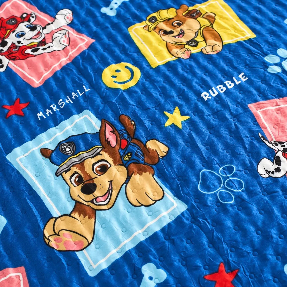 Cover Paw Patrol