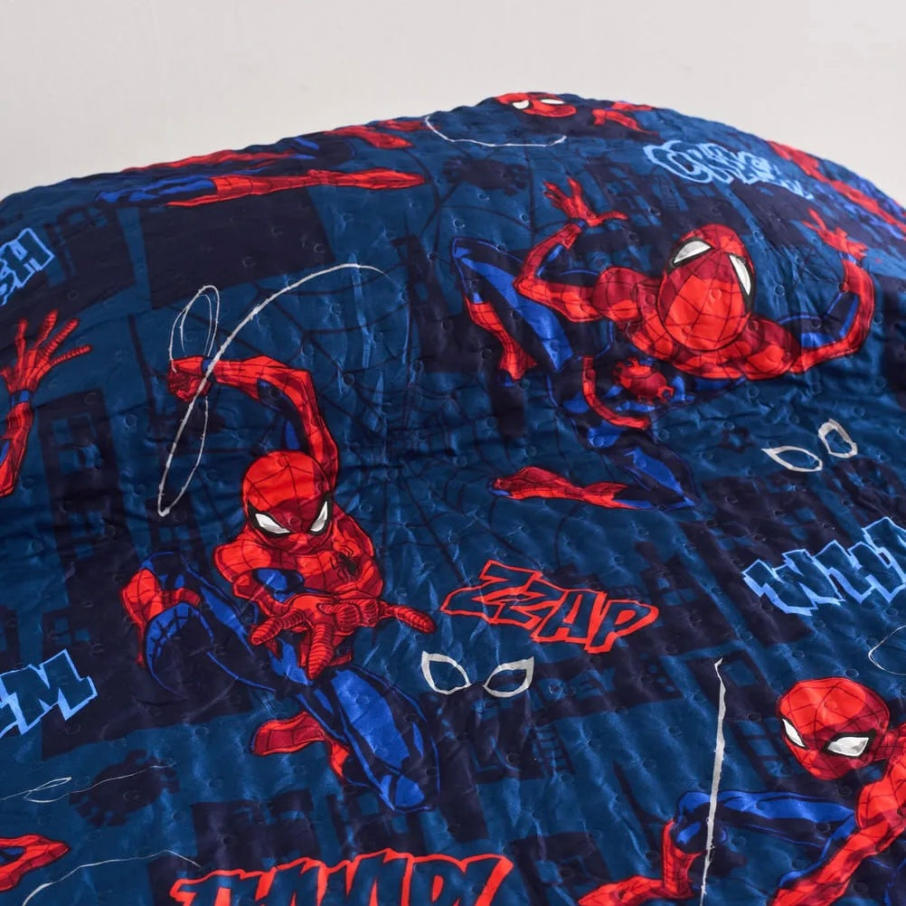Cover Spiderman