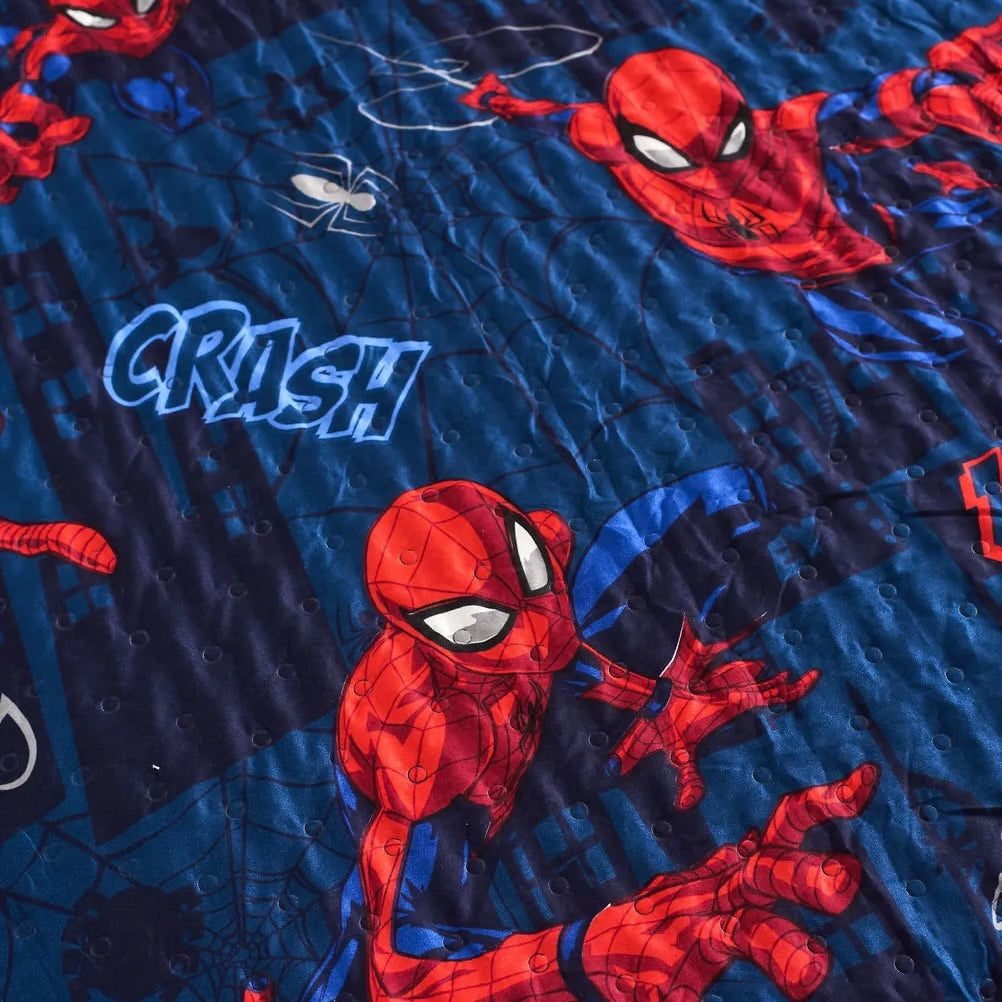 Cover Spiderman